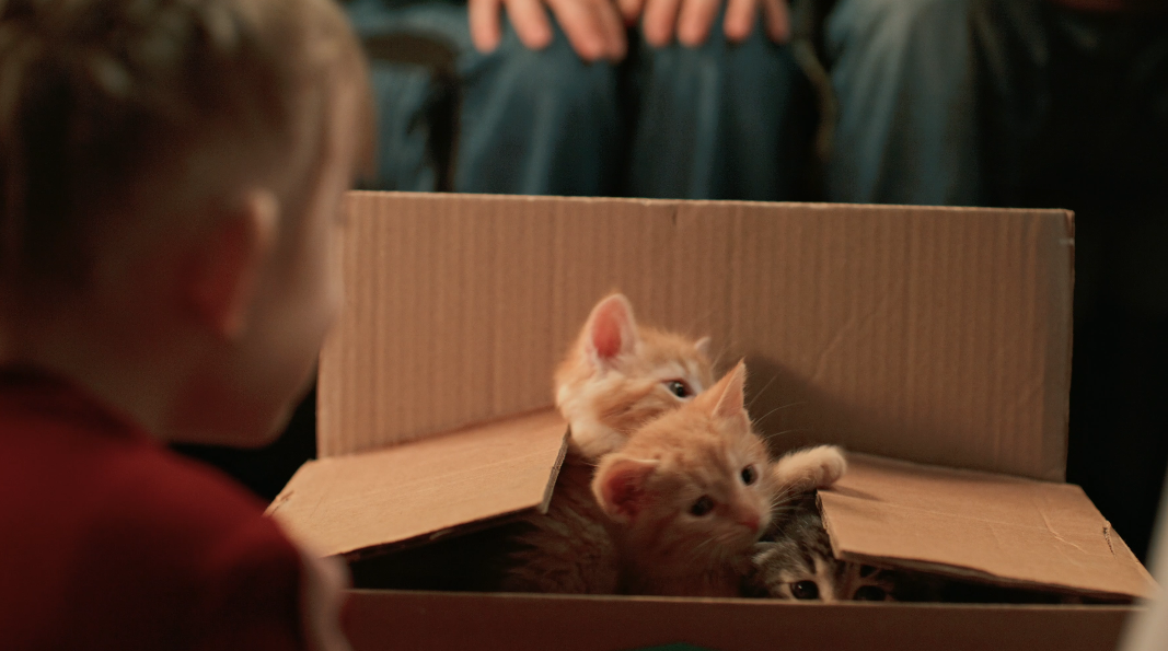 Постер к фильму: "Дед Мороз знает""